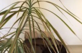 Фото коворкинга