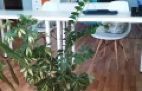 Фото коворкинга